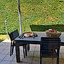 animal, basket, cactus, cat, chairs, daylight, furniture, greenery, hedge, leisure, outdoor, patio, pet, relaxing, resting, shadow, sunlight, tabby_cat, table, tiled_floor