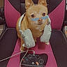 accessory, animal, black, chair, chihuahua, cute, dog, funny, game_controller, gamer, gaming_chair, glasses, headphones, indoor, pet, pink, playful, sitting, small_dog, technology
