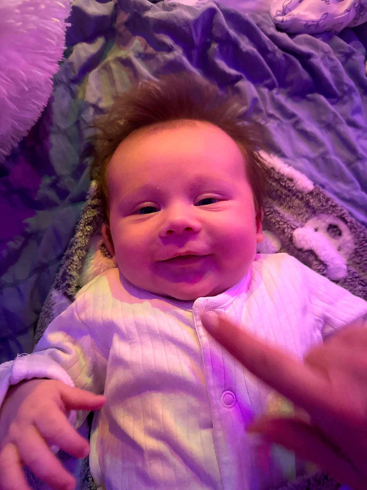 Sebastian joined the competition — help win amazing prizes! baby, infant, smile, face, hand, onesie, blanket, purple, soft_texture, child, cute, lying_down, cozy, happy, indoor, person, skin, finger, expression, young