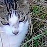 Petiti Mimi participe au concours pour gagner de l'argent avec cette photo :