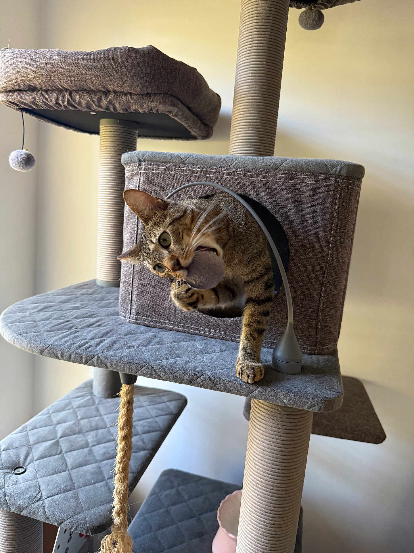 Oliver