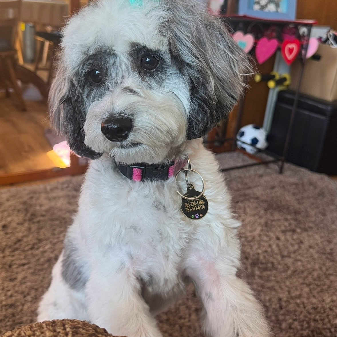 Sophie