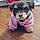 Darla