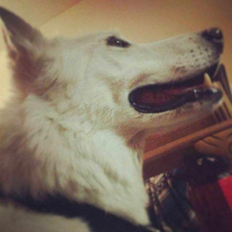 King