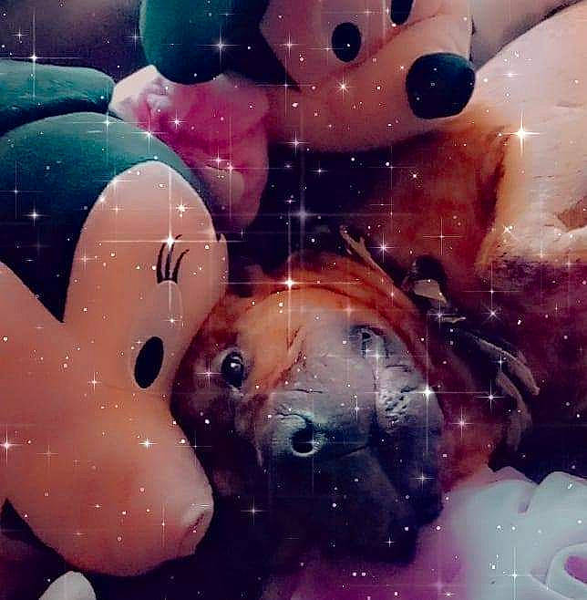 Pablo participe au concours pour gagner de l'argent avec cette photo : animation, art, ball, cg_artwork, circle, electric_blue, fictional_character, font, fun, graphics, happy, illustration, magenta, material_property, organism, painting, pattern, pink, space, visual_arts