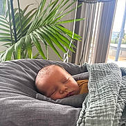 Clément participe au concours pour gagner de l'argent avec cette photo : baby, sleeping, blanket, cushion, indoor, plant, lamp, cozy, child, infant, face, resting, comfort, home, portrait, soft, peaceful, newborn, nursery, relaxation