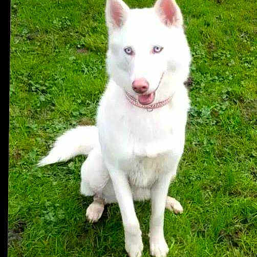 Roxy joined the competition — help win amazing prizes!