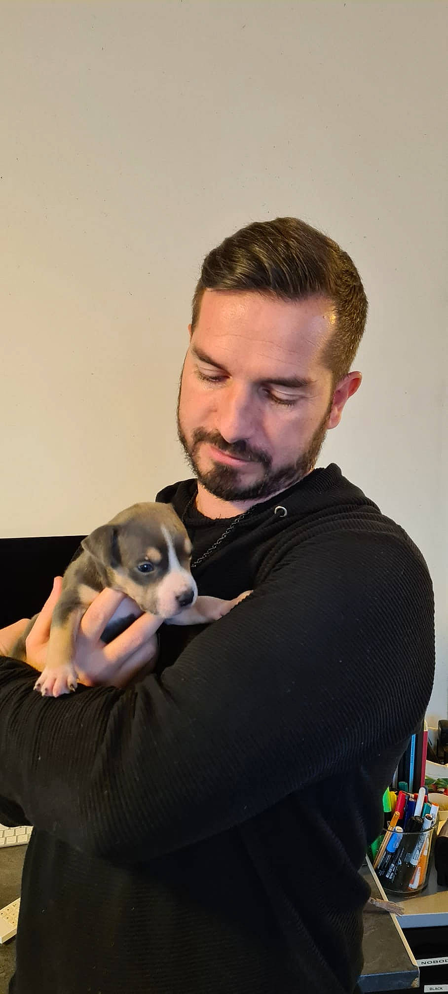 Star a rejoint le concours — aidez-le/la à gagner de superbes lots ! beard, canidae, carnivore, comfort, companion_dog, dog, dog_breed, facial_hair, fawn, formal_wear, fun, fur, happy, moustache, room, sitting, sporting_group, t_shirt, toy_dog