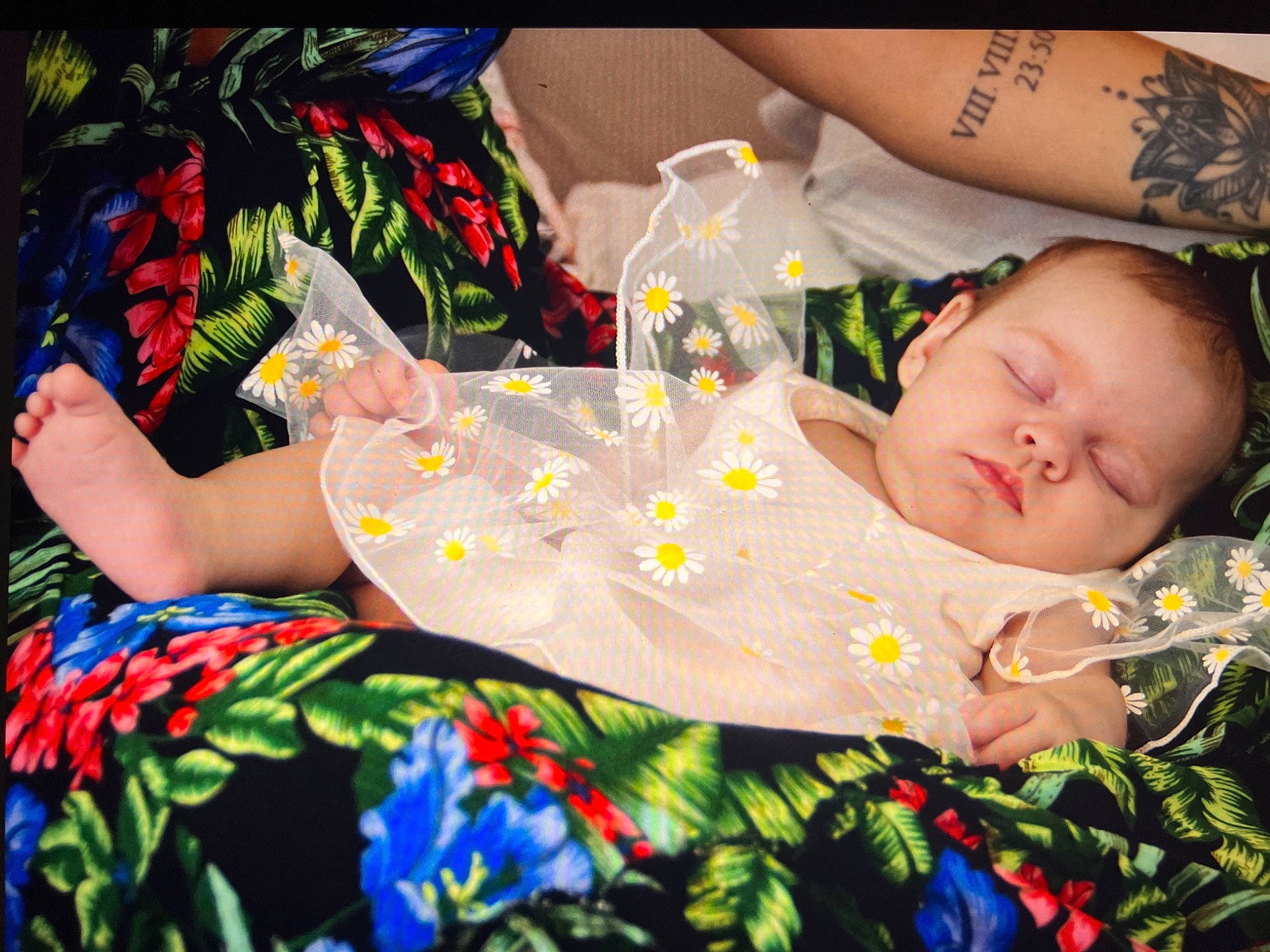 Prunille a rejoint le concours — aidez-le/la à gagner de superbes lots ! art, baby, baby_products, baby_sleeping, baby_toddler_clothing, bedding, bedtime, child, comfort, fun, grass, happy, human_leg, linens, pattern, person, product, room, sitting, textile