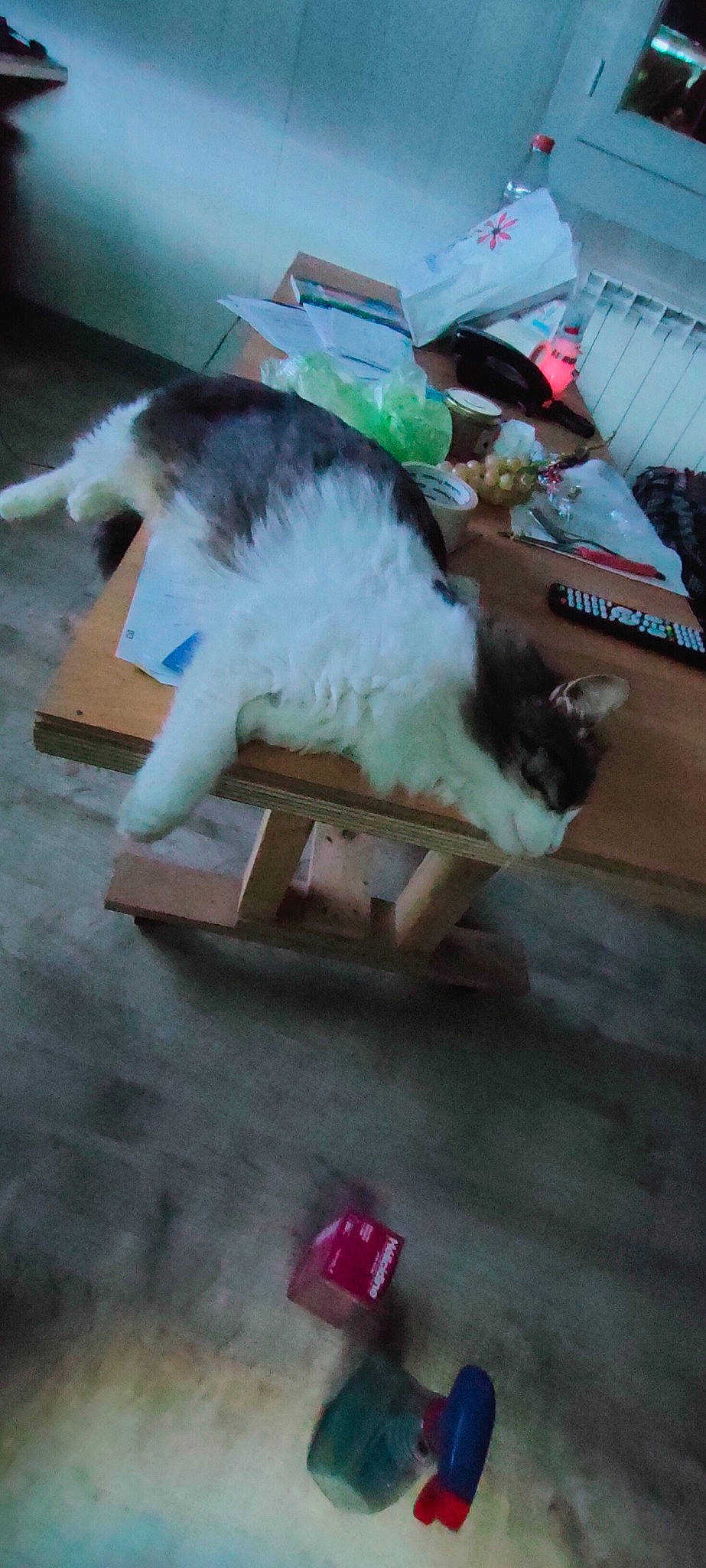 Link participe au concours pour gagner de l'argent avec cette photo : canidae, carmine, carnivore, cat, cat_supply, comfort, companion_dog, dog_breed, felidae, flooring, fur, hardwood, small_to_medium_sized_cats, sporting_group, tail, whiskers