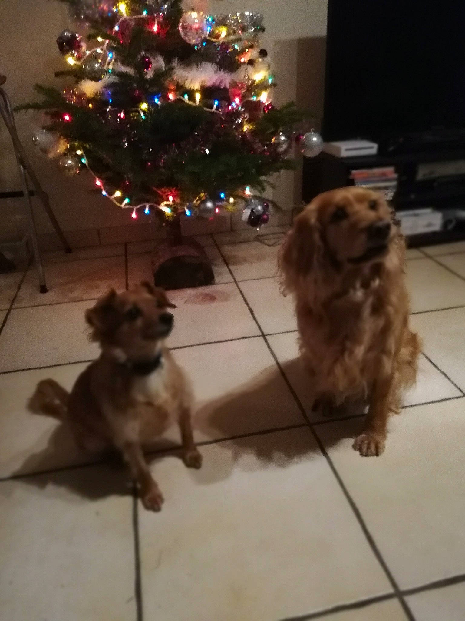 Iouky a rejoint le concours — aidez-le/la à gagner de superbes lots !