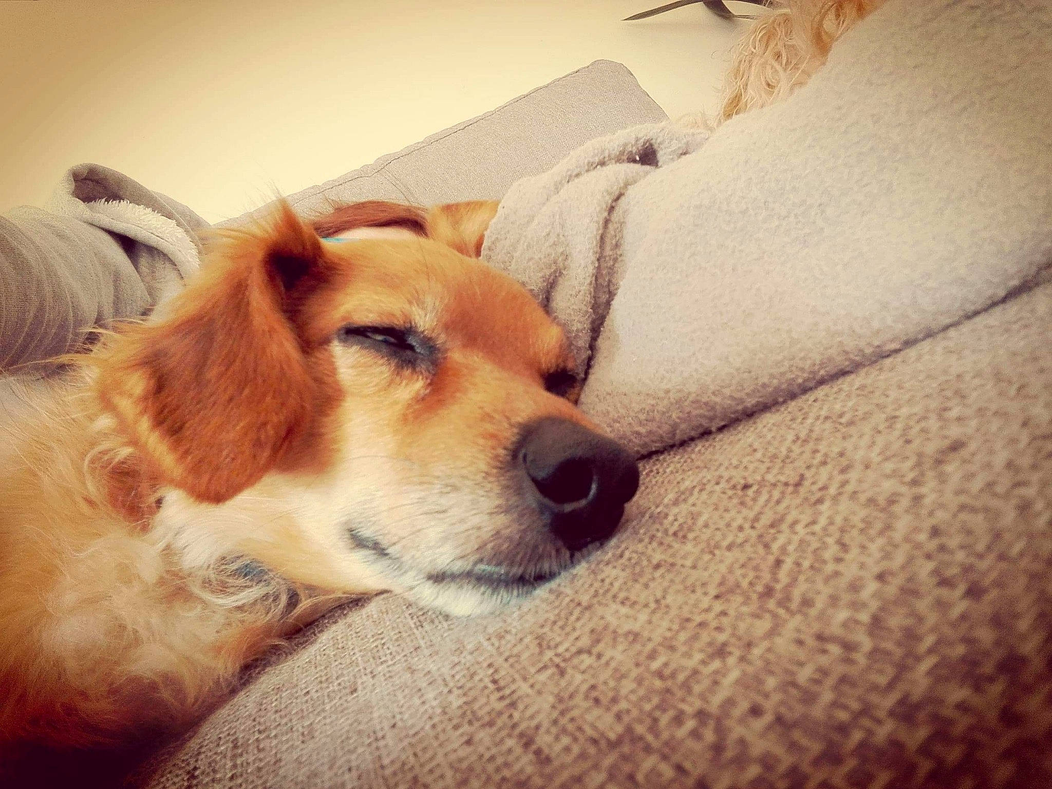 Iouky participe au concours pour gagner de l'argent avec cette photo :