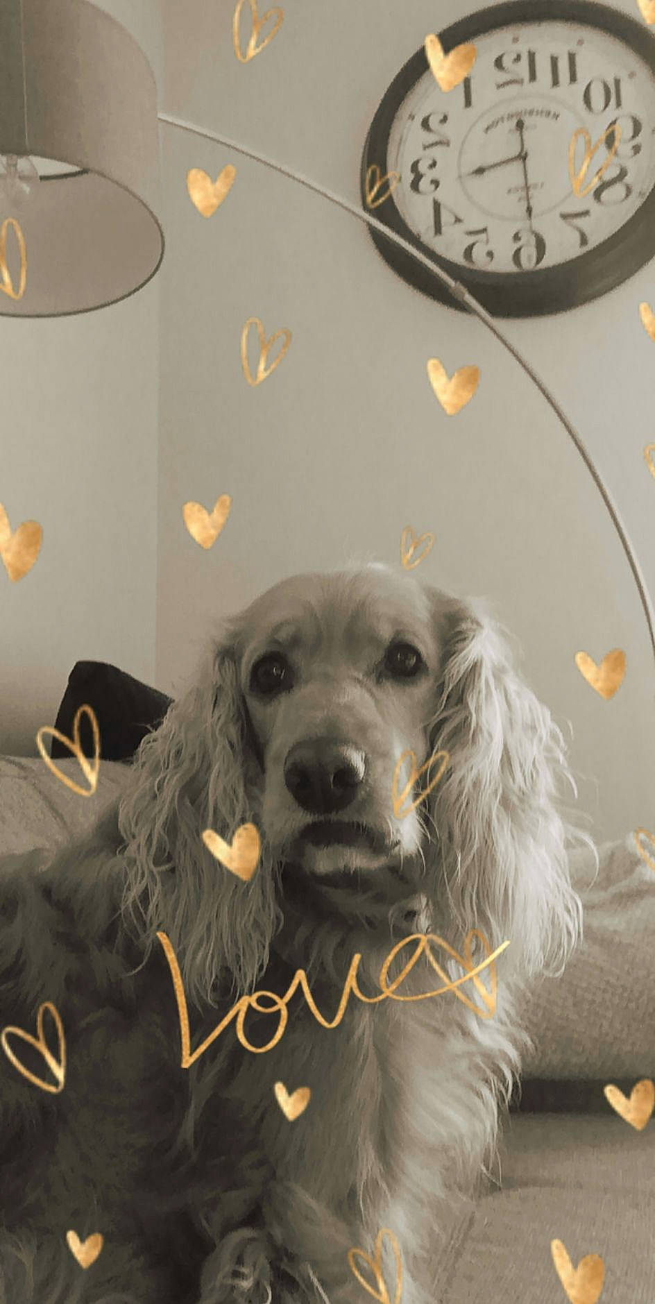 Hollywood a rejoint le concours — aidez-le/la à gagner de superbes lots !