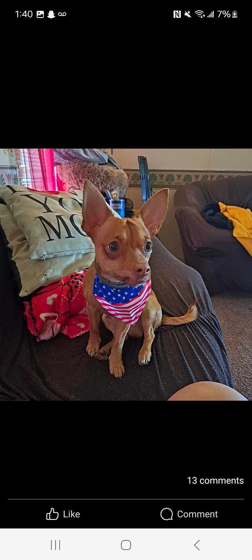 Buddy