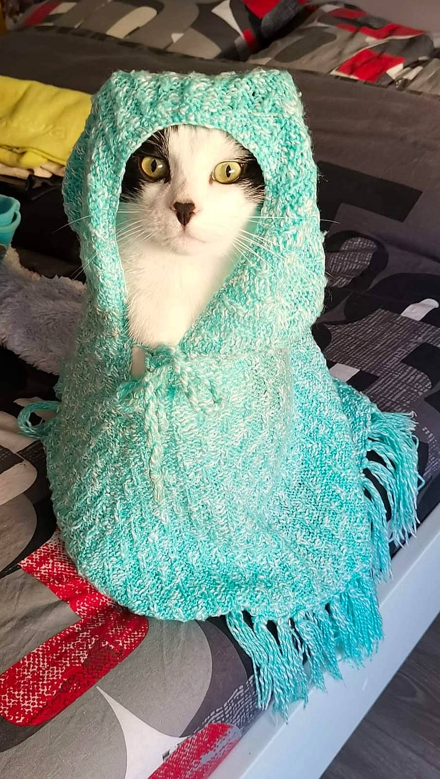 Lenor a rejoint le concours — aidez-le/la à gagner de superbes lots ! aqua, art, azure, blue, crochet, electric_blue, fashion_accessory, felidae, fur, glitter, green, mannequin, pattern, shawl, small_to_medium_sized_cats, stole, textile, whiskers, wool, woolen