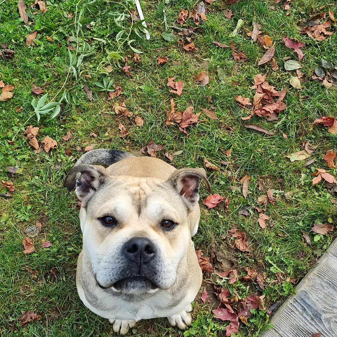 Zeus
