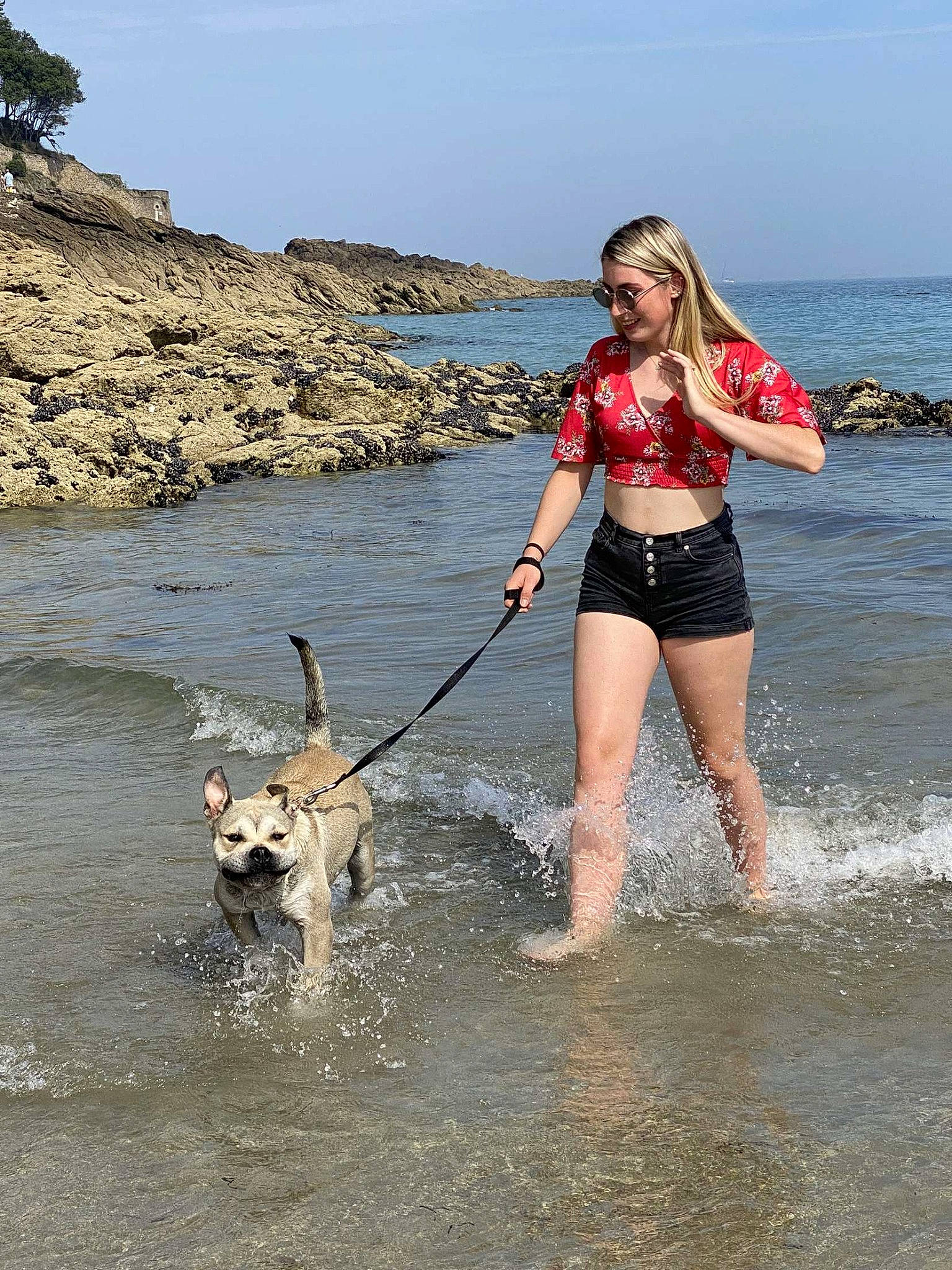 Zeus a rejoint le concours — aidez-le/la à gagner de superbes lots ! beach, boats_and_boating_equipment_and_supplies, canidae, carnivore, companion_dog, dog, dog_breed, fawn, fun, lake, leash, leisure, outdoor_recreation, recreation, sky, sporting_group, thigh, water, wave, wind_wave