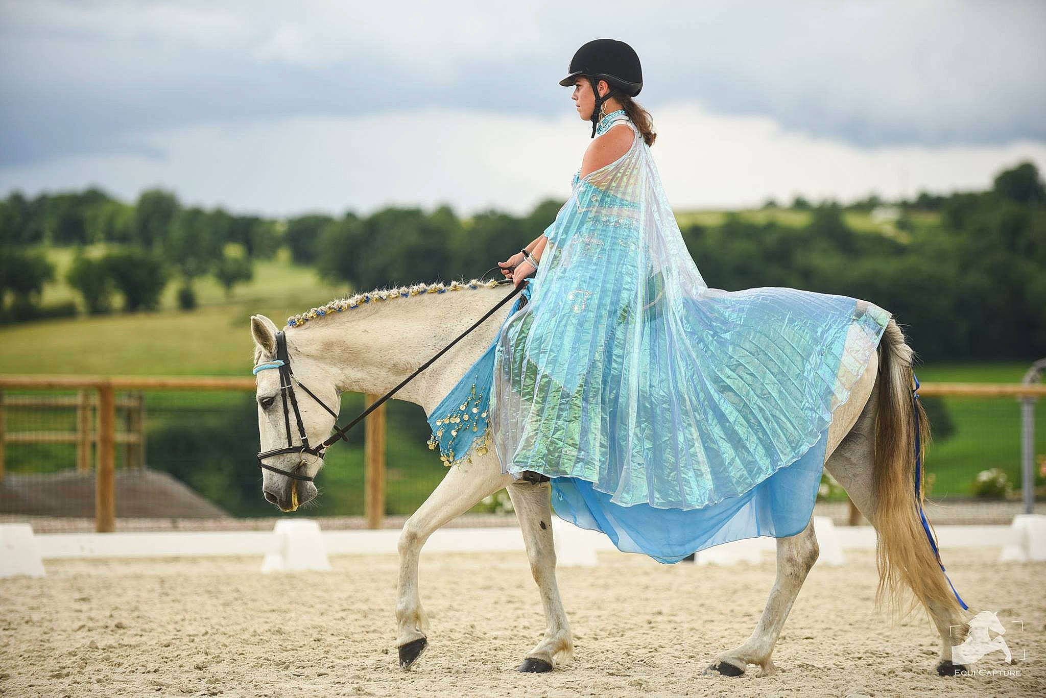 Reine a rejoint le concours — aidez-le/la à gagner de superbes lots ! animal_sports, beauty, bridle, dress, equestrianism, fashion, fun, halter, horse, horse_tack, horse_trainer, mane, mare, photograph, photography, recreation, rein, stallion, stock_photography, wedding_dress