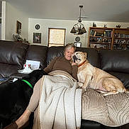 Tank is registered to the contest to win money with this photo: affection, black_dog, blanket, bookshelf, carpet, chandelier, cozy, cushion, dog, home_interior, lamp, living_room, pet, portrait, senior_person, side_table, slippers, sofa, tan_dog, woman