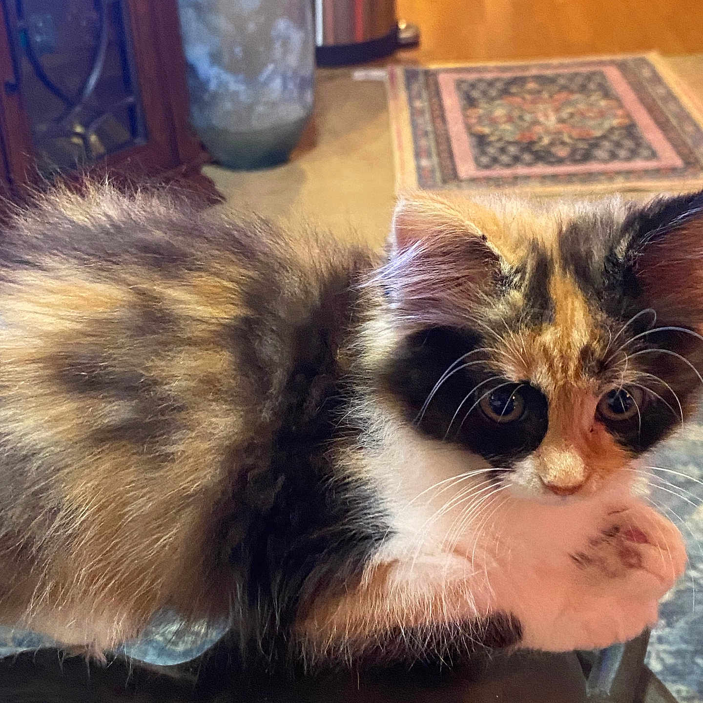 Chloe