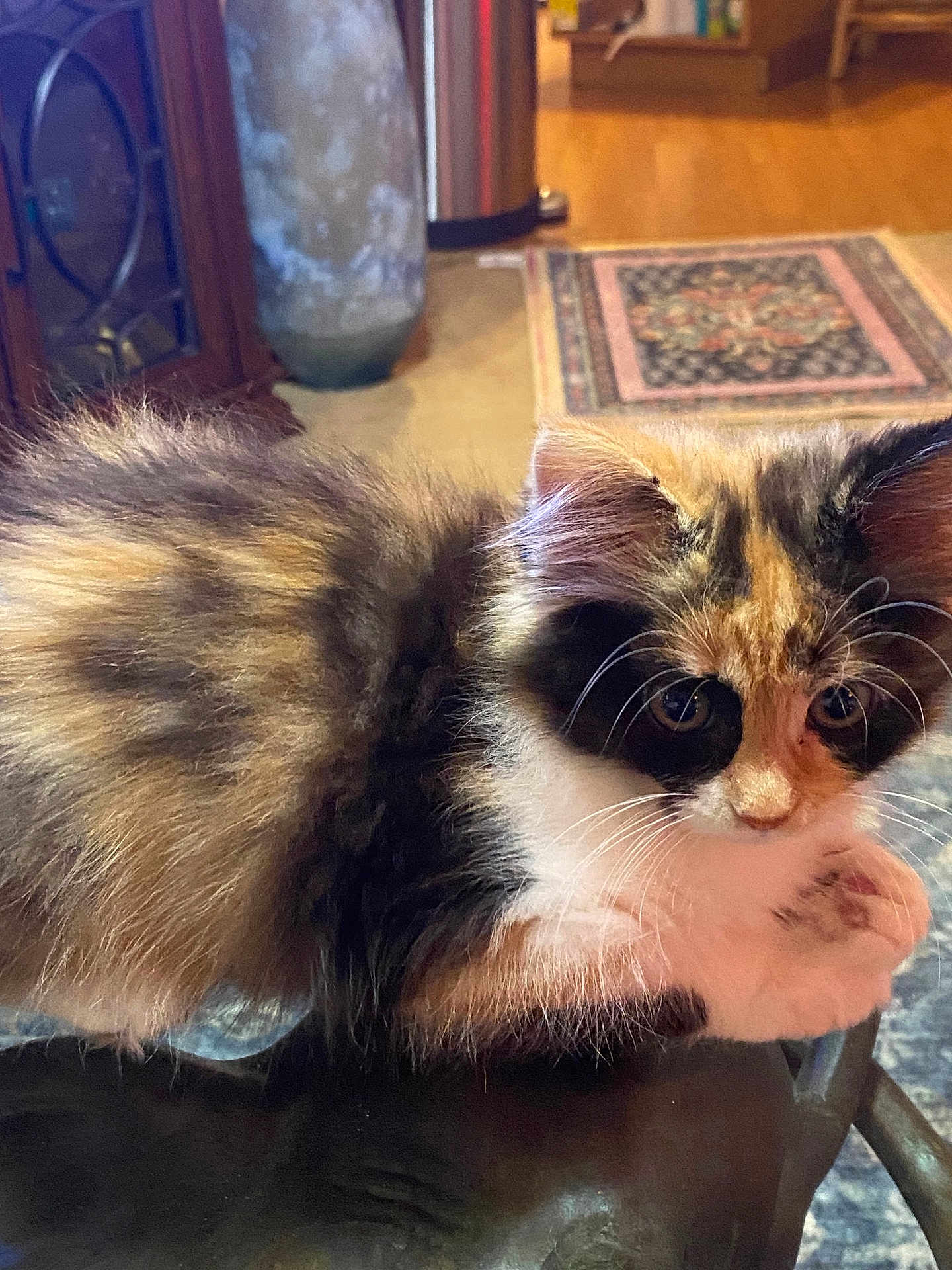 Chloe
