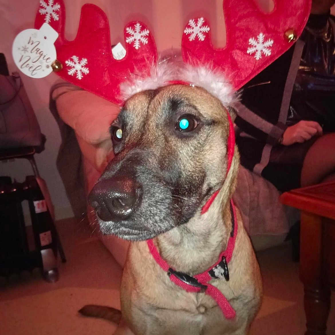 Ruby