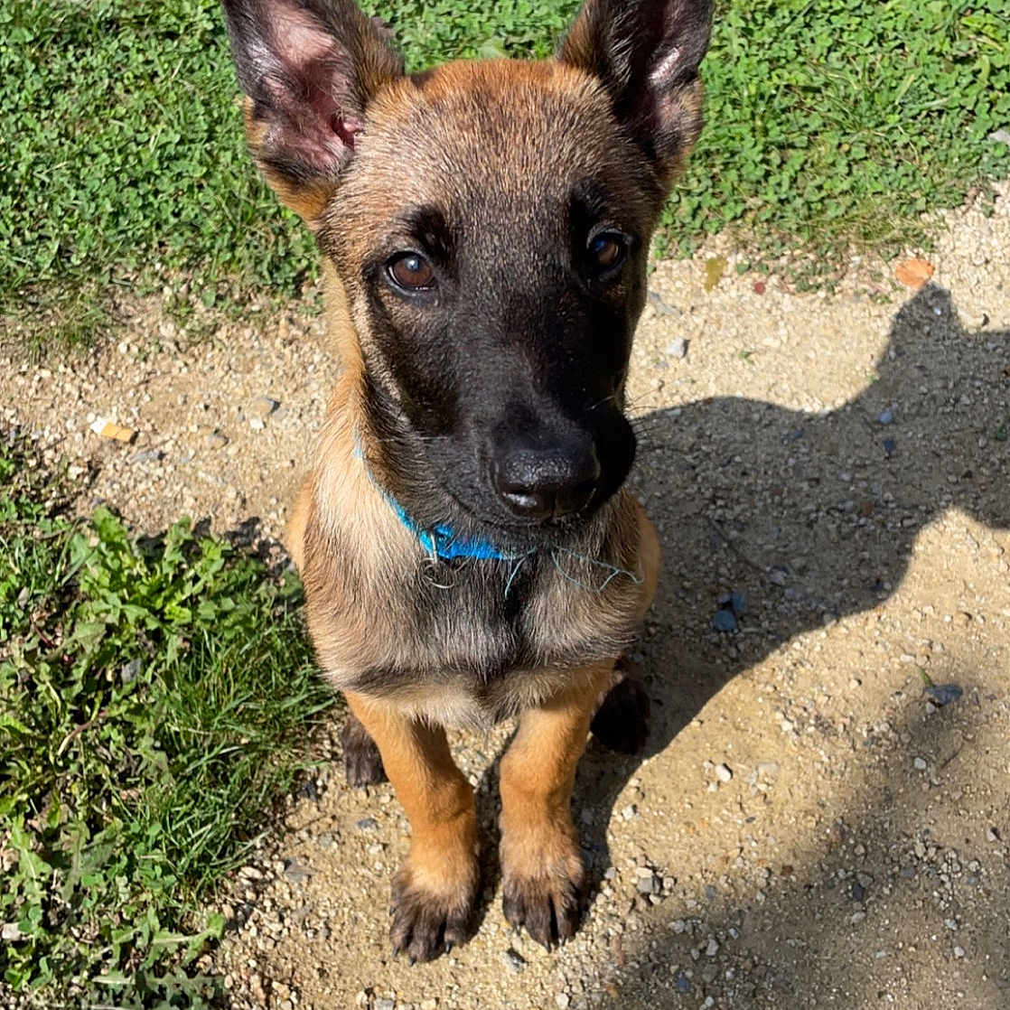 Marley