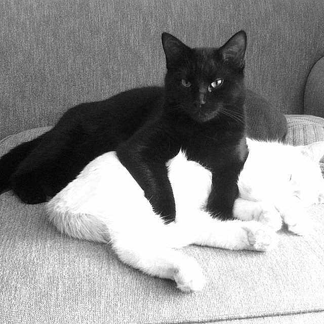 Lucifur