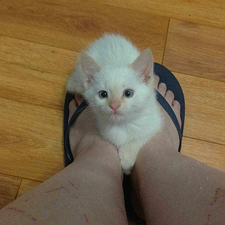 Angel joined the competition — help win amazing prizes!