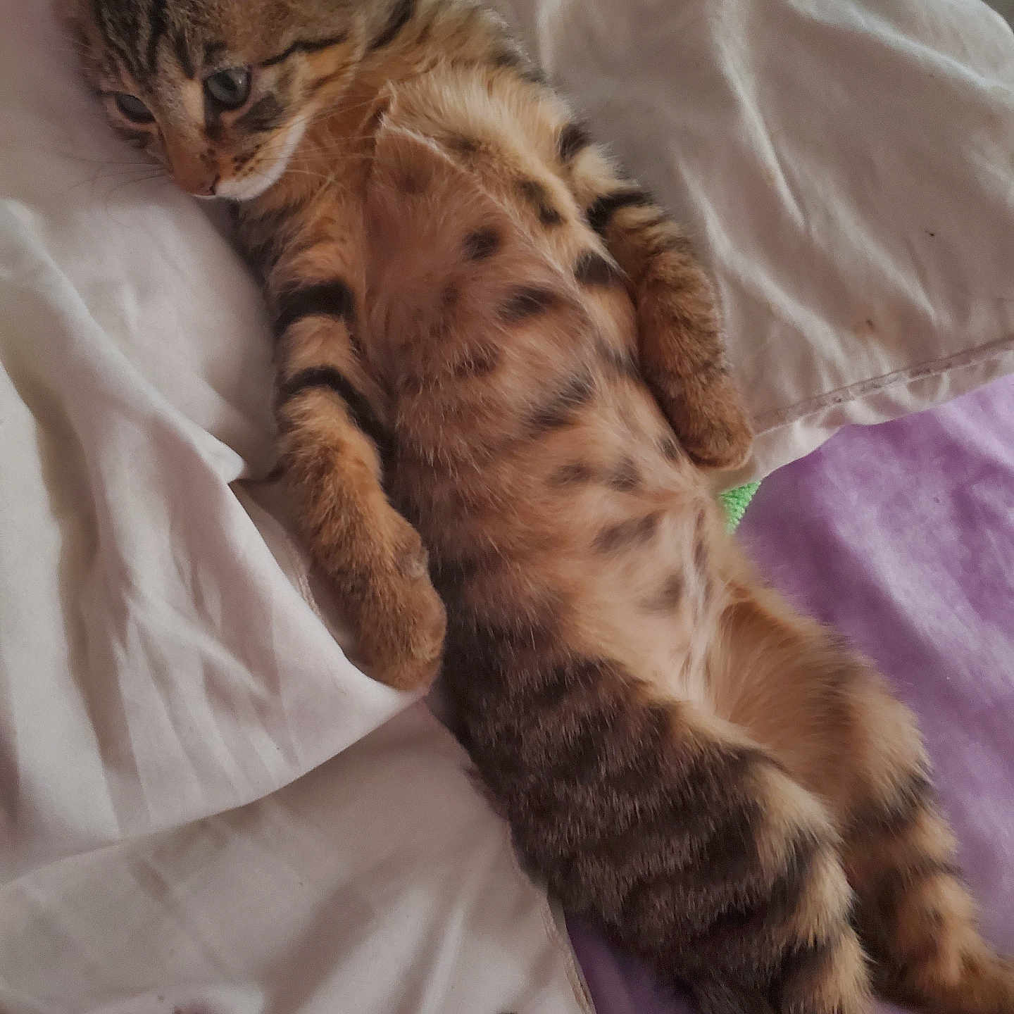 Bouba
