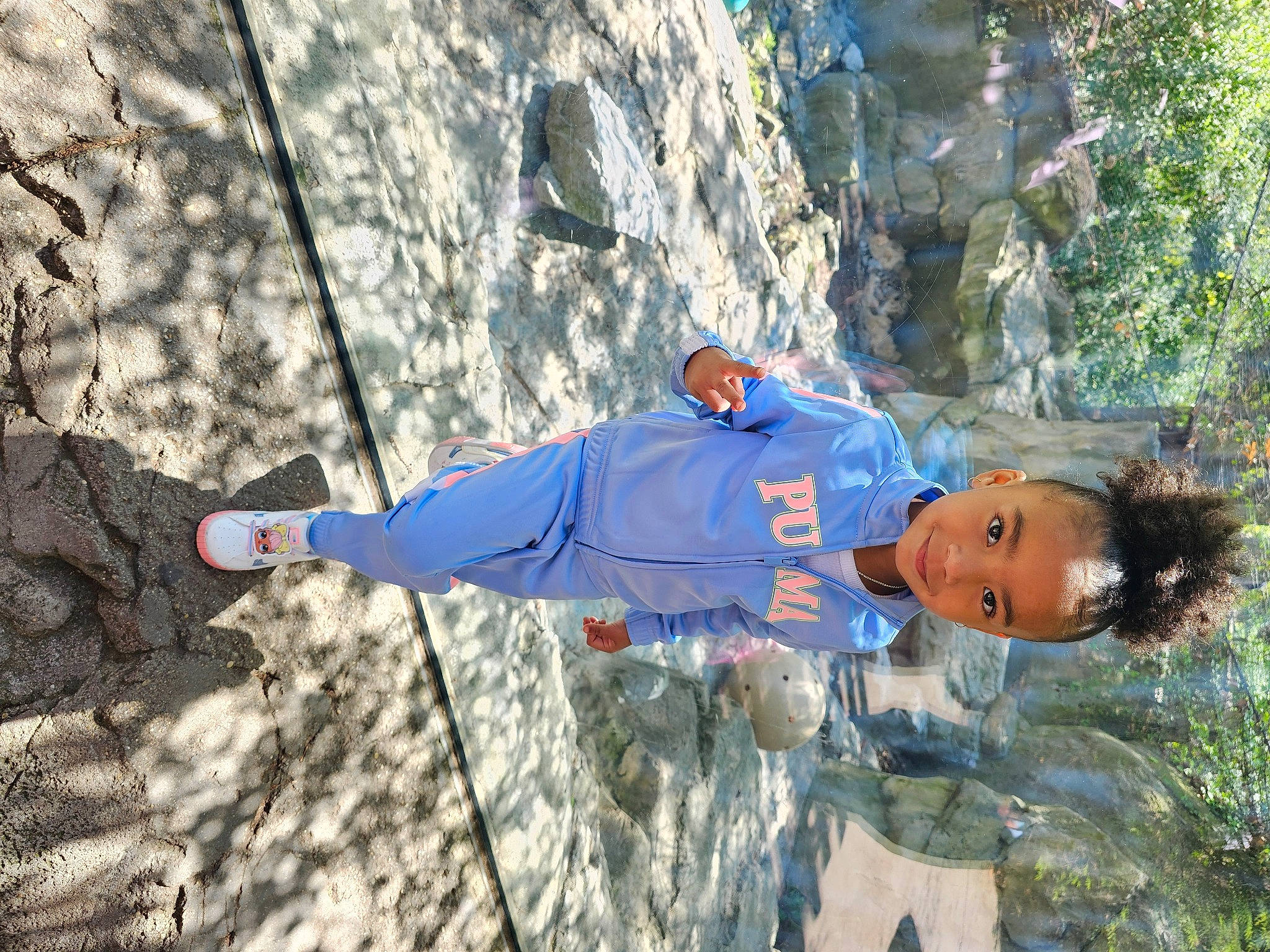 Journi is registered to the contest to win money with this photo: adventure, bedrock, climbing_harness, electric_blue, formation, fun, geological_phenomenon, geology, joy, leisure, mountaineer, people_in_nature, person, plant, recreation, rock, rock_climbing_equipment, rope, slope, sport_climbing