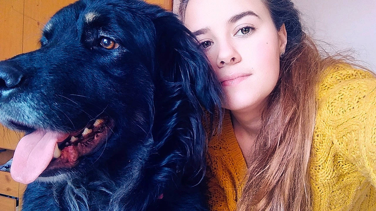 Elton joined the competition — help win amazing prizes! black_hair, boykin_spaniel, dog, dog_breed, dog_breed_group, dog_like_mammal, flat_coated_retriever, fun, fur, girl, labrador_retriever, nose, person, retriever, snout, sporting_group