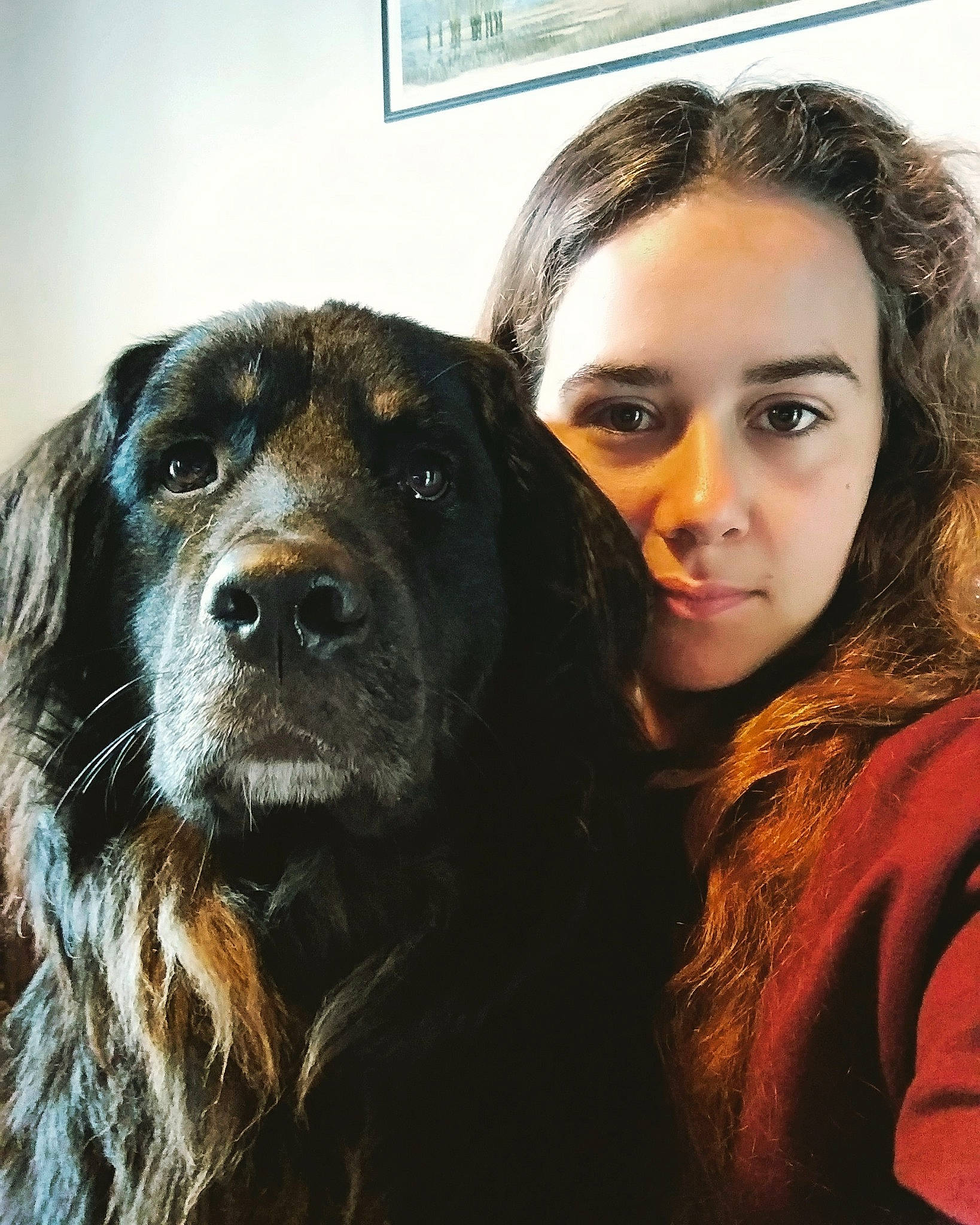 Elton joined the competition — help win amazing prizes! companion_dog, dog, dog_breed, dog_breed_group, dog_like_mammal, fur, person, snout