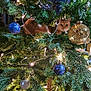 cat, christmas_tree, ornaments, lights, greenery, orange_cat, holiday, decorations, festive, indoor, curious, peeking, branches, twinkling_lights, shiny_balls, holiday_season, pet, celebration, cozy, festivity