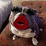 Chenille joined the competition — help win amazing prizes! dog, pet, indoor, cushion, carpet, furniture, eyelashes, red_lips, funny, portrait, animal, cute, staffy, bulldog, decor, home, sitting, face, expression, playful