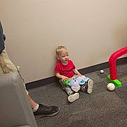 Ayden is registered to the contest to win money with this photo: toddler, child, toy_elephant, carpet, baseball, toy_dragon, playroom, red_shirt, gray_pants, sneakers, adult_leg, wall, floor, indoor, toy, child_playing, sitting, casual_clothing, young_child, play_area