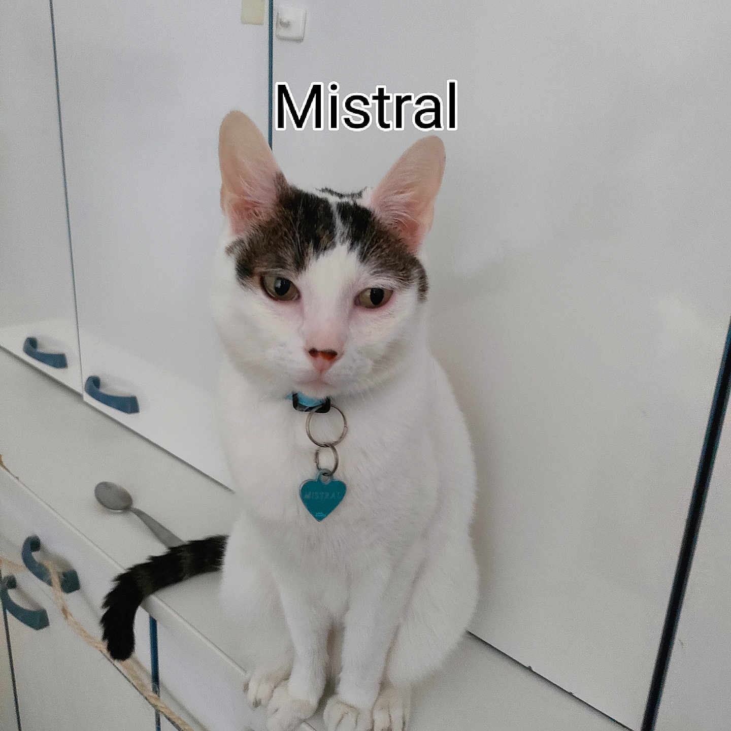 Mistral