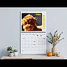 dog, puppy, fluffy, brown_fur, calendar, august, princess, portrait, wall, home_decor, console_table, succulents, potted_plants, vase, foliage, pumpkin, candle, interior, screenshot, phone_interface