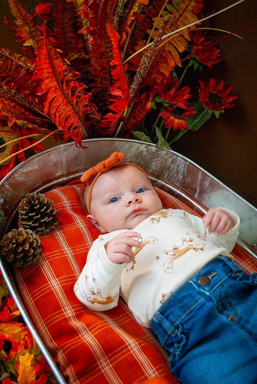 Cora joined the competition — help win amazing prizes! baby, baby_toddler_clothing, basket, cheek, child, christmas, comfort, event, floral_design, flower, flower_arranging, orange, pattern, person, plaid, plant, room, sitting, tartan, textile