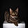 Minou