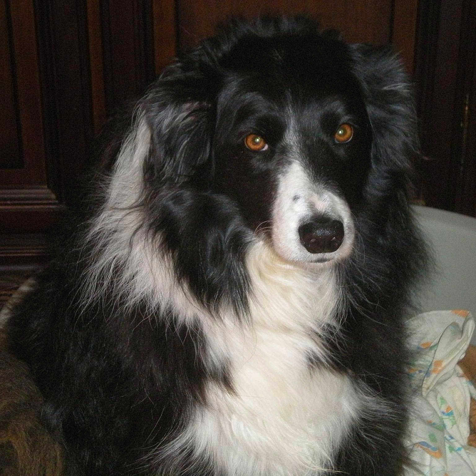 Kovou