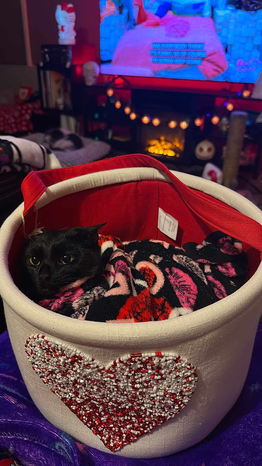 Salie is registered to the contest to win money with this photo: cat, black_cat, basket, blanket, beaded_heart, indoors, cozy, warm_lighting, television, fairy_lights, fireplace, decor, furniture, home, pet, snuggling, red, white, purple, comfort