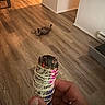 cat, kitten, pet, animal, indoor, home, wooden_floor, hallway, rolling, playing, lying_down, fur, tail, sitting_area, hand, sage, smudging_stick, home_decor, warm_lighting, photograph