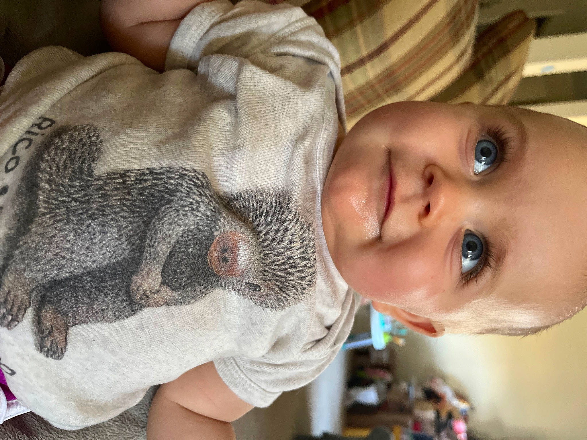 Sera joined the competition — help win amazing prizes! baby, child, comfort, ear, eye, eyelash, felidae, hairstyle, happy, head, lip, mammal, mouth, neck, nose, person, skin, smile, toddler, vertebrate