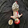 baby, infant, pacifier, clothing, red_hat, white_onesie, grey_pants, black_blanket, wooden_sign, one_month, lying_down, indoors, cute, milestone, child, portrait, baby_clothes, headwear, soft_texture, small_hands