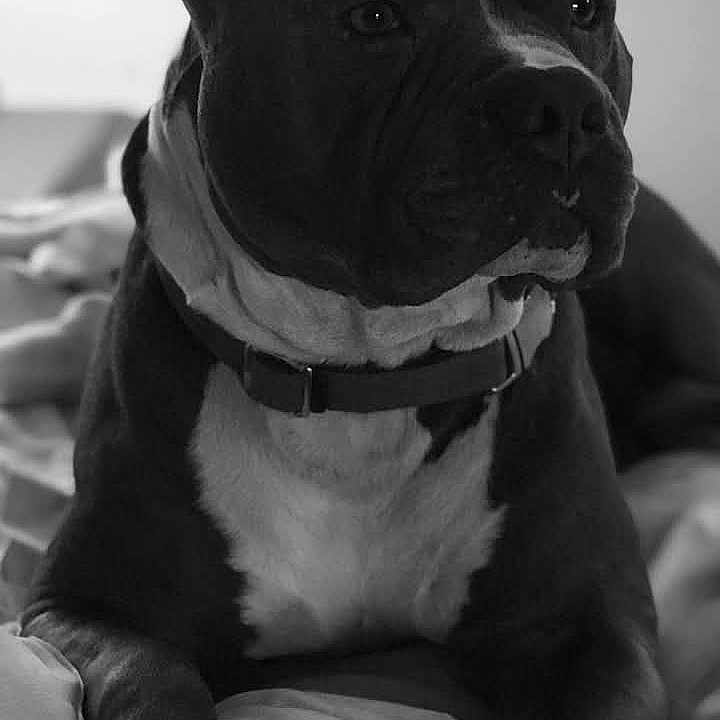 Zeus
