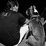 animal, back_view, black_and_white, canine, casual_clothing, companionship, dark_background, dog, friendship, glasses, leash, man, night, outdoor, pet, quiet, resting, shorts, sitting, wooden_steps