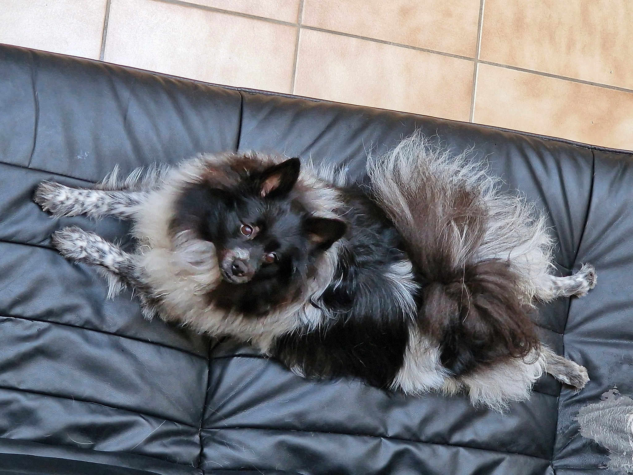 Princesse