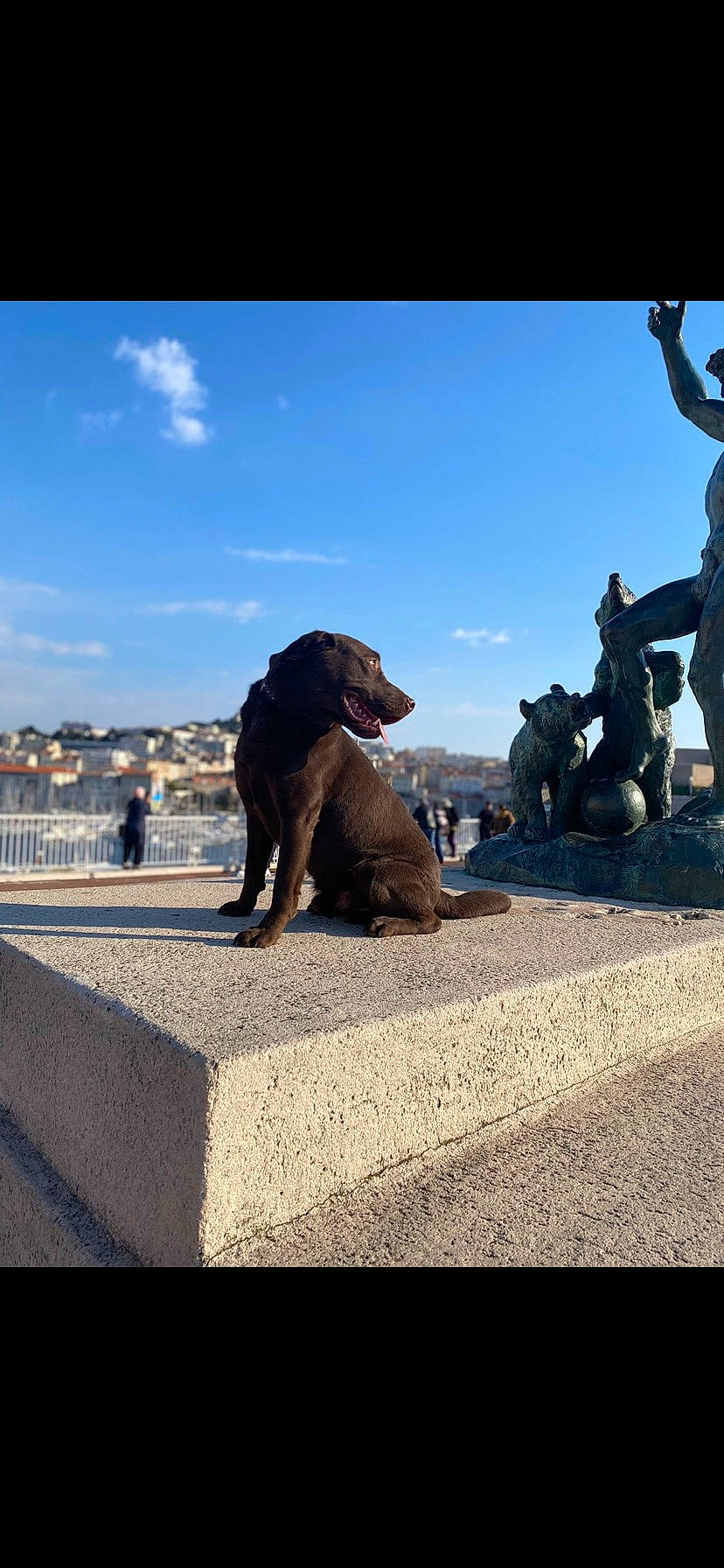 Saigon participe au concours pour gagner de l'argent avec cette photo : canidae, carnivore, cloud, companion_dog, dog, dog_breed, fun, horizon, landscape, leisure, mammal, monument, rock, sand, sculpture, shadow, sky, sporting_group, vertebrate, working_animal