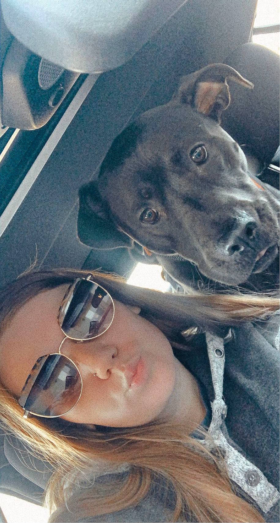 Rocco joined the competition — help win amazing prizes! carnivore, companion_dog, cool, dog, dog_breed, eye_glass_accessory, eyebrow, eyelash, eyewear, glasses, goggles, happy, jaw, mouth, nose, organ, sunglasses, vision_care, white, working_animal